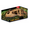 Skull of Tyrannosaurus T-REX EXO TERRA