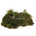 Natural moss 200g TRIXIE