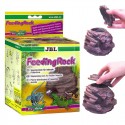 Feeding Rock cricket feeder JBL