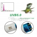 Fluorescent lamp 5.0 T8 LUCKY HERP for chameleon