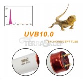 Fluorescent lamp 10.0 T8 LUCKY HERP for agama, turtle