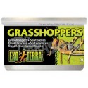 Canned dried grasshopper 34g EXO TERRA