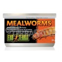 Canned dried mealworms 34g EXO TERRA