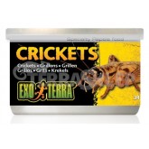 Canned dried crickets 34g EXO TERRA