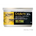 XL canned dried crickets 34g EXO TERRA