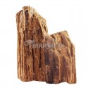 Skałka skamieniałe drewno M 15-30cm