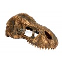 Skull of Tyrannosaurus T-REX small EXO TERRA