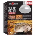 Bulb ALL IN ONE UVB/UVA/heating 80W REPTI PLANET