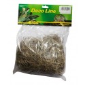 Spanish Moos Moss 50g LUCKY REPTILE