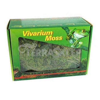 Żywy mech Vivarium Moss 150g LUCKY REPTILE