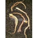 Korzeń liana 30-50cm
