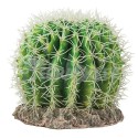 Sonora cactus large HOBBY