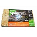 Sphagnum Moss Classic moss 100gr