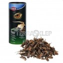 Dried crickets for reptiles 25g TRIXIE