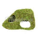 Cave with natural moss HOBBY