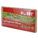 Sphagnum Moss moss 100g HOBBY