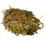 Sphagnum moss habistat SPHAGNUM MOSS 1kg