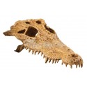 Crocodile skull hiding place for terrarium EXO TERRA