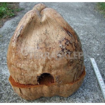 Gniazdko kokosowe "Domek" otwierany