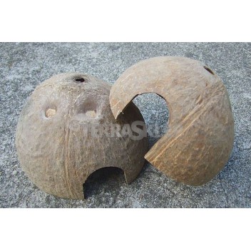 Domek kokosowy 1/2 orzecha, szczotkowany