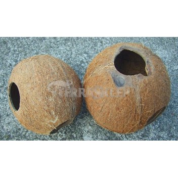Domek kokosowy 1/2 orzecha, szczotkowany