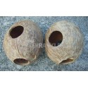 Domek kokosowy 1/1 orzecha, szczotkowany
