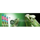 UVB Fluorescent Lamp 6% T8 Forest ARCADIA