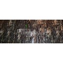 Background for terrarium bark 1m REPTI GOOD