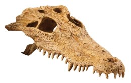 Czaszka krokodyla kryjówka do terrarium EXO TERRA