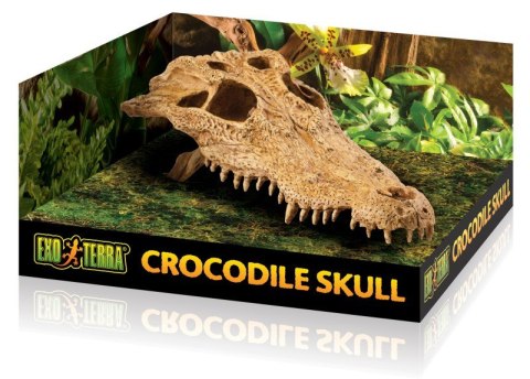Czaszka krokodyla kryjówka do terrarium EXO TERRA