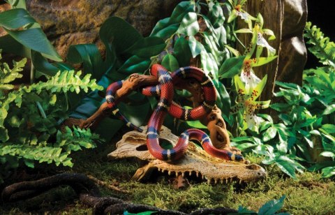 Czaszka krokodyla kryjówka do terrarium EXO TERRA