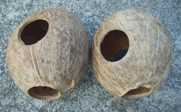 Domek kokosowy 1/1 orzecha, szczotkowany