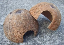 Domek kokosowy 1/2 orzecha, nieszczotkowany