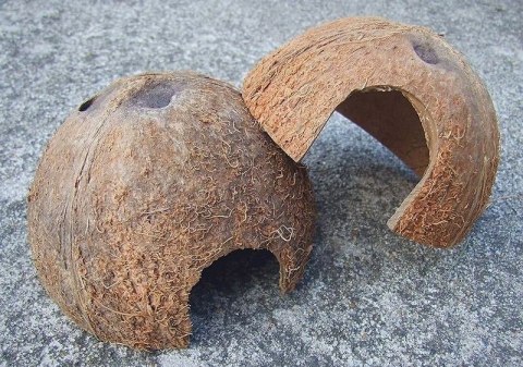 Domek kokosowy 1/2 orzecha, nieszczotkowany