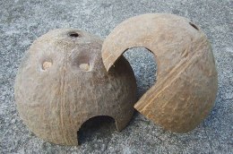 Domek kokosowy 1/2 orzecha, szczotkowany