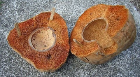 Gniazdko kokosowe "Domek" otwierany