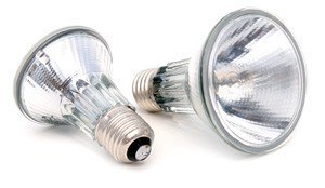 Halogen Basking Spotlight 50-100W ARCADIA