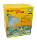 Metahalogen 70W Desert FLOOD Bright Sun UV LUCKY REPTILE