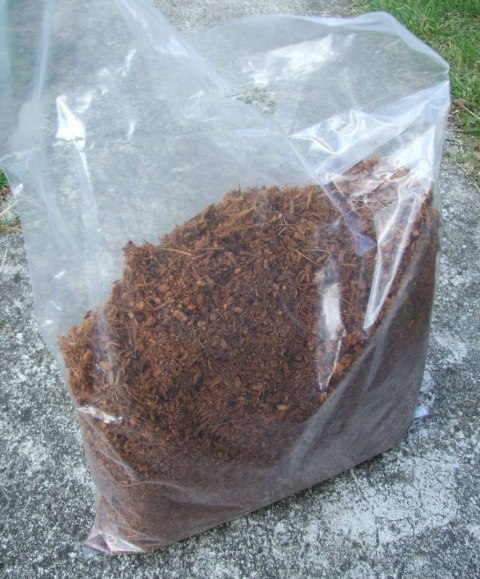 Podłoże torf torba 5L