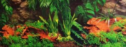 Tło do terrarium dżungla 1m REPTI GOOD