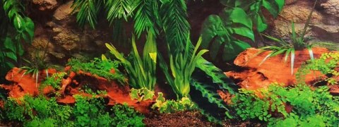 Tło do terrarium dżungla 1m REPTI GOOD