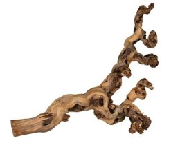 Winorośl naturalna sucha twarda do 60-80cm