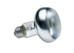 Żarówka BASKING SPOT 25 - 100W ZOO MED