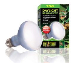 Żarówka DAY LIGHT 25 - 150W EXO TERRA