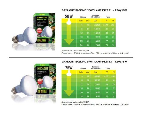 Żarówka DAY LIGHT 25 - 150W EXO TERRA