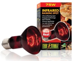 Żarówka INFRARED BASKING SPOT 50 - 150W EXO TERRA