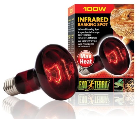 Żarówka INFRARED BASKING SPOT 50 - 150W EXO TERRA