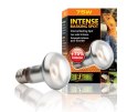 Żarówka INTENSE BASKING SPOT 25 - 150W EXO TERRA