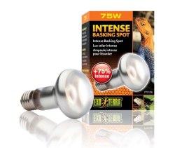Żarówka INTENSE BASKING SPOT 25 - 150W EXO TERRA