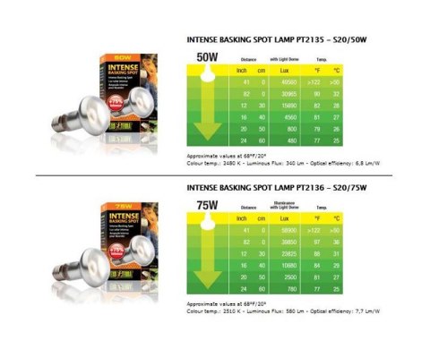 Żarówka INTENSE BASKING SPOT 25 - 150W EXO TERRA